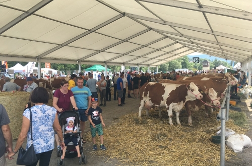 WTC na výstavě Böhmerwaldmesse 2019 